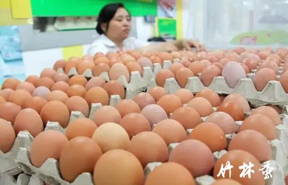 11月18日鸡蛋价格强势上涨